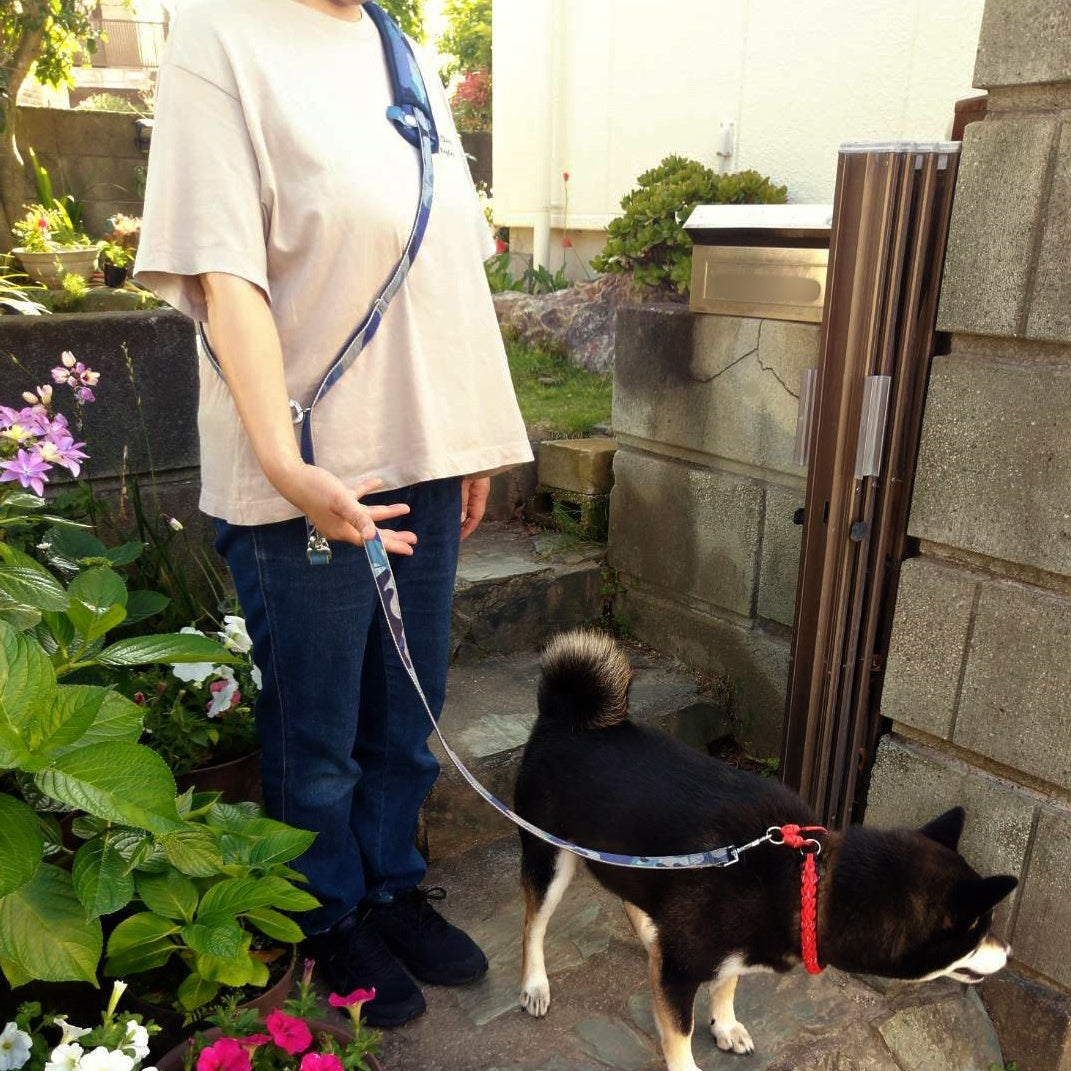 犬 多頭 飼い クリアランス リード